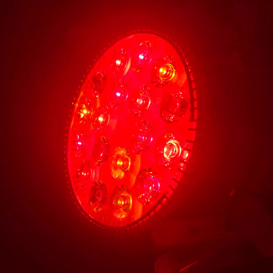 Wholesale Custom Infrared 660nm 850nm Red Light Therapy Lamp Device Bulb for Body and Face