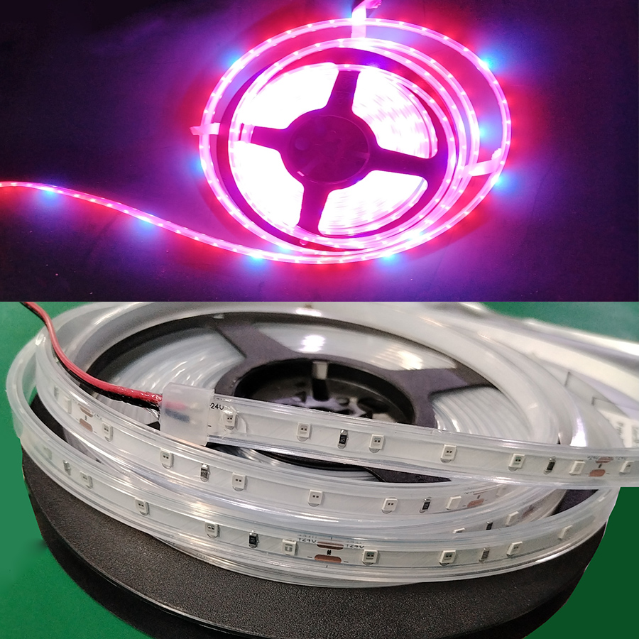 48vdc led light strip for cultivation full spectrum Wolffia (watermeal) 