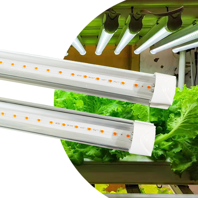 luz led para cultivos hidroponicos led light for hydroponic crops