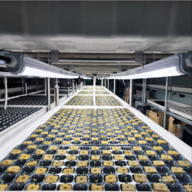 grow light led bar dimming for turfgrass Greenwall