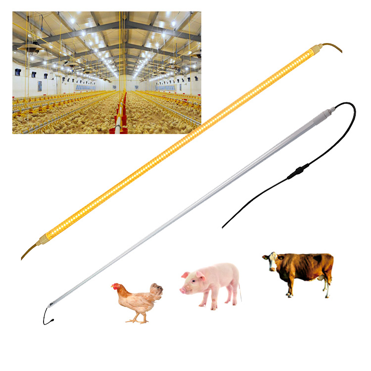 LED Poultry Layer Light Tube Lighting Waterproof for Livestock DC Dcpoultry Equipment Led Tube