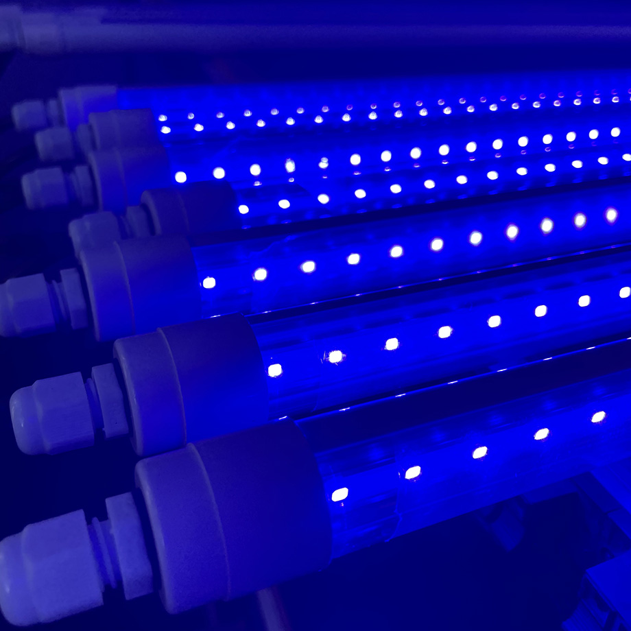 blue led grow lights