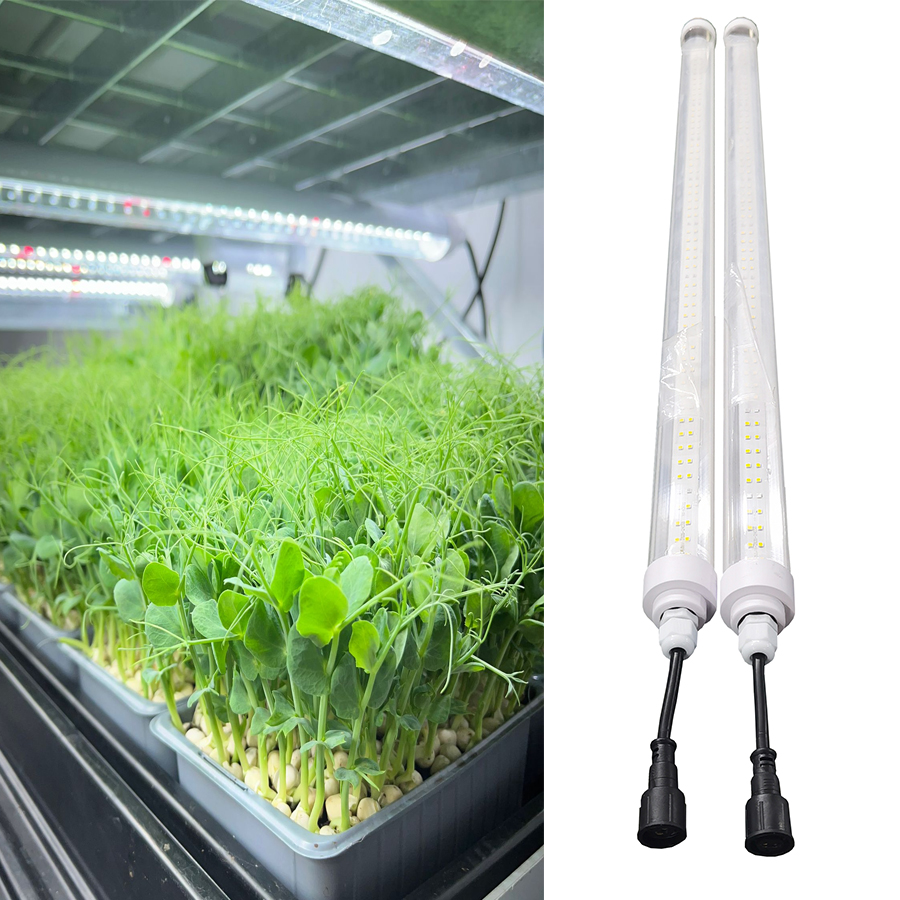 grow lights for house plants