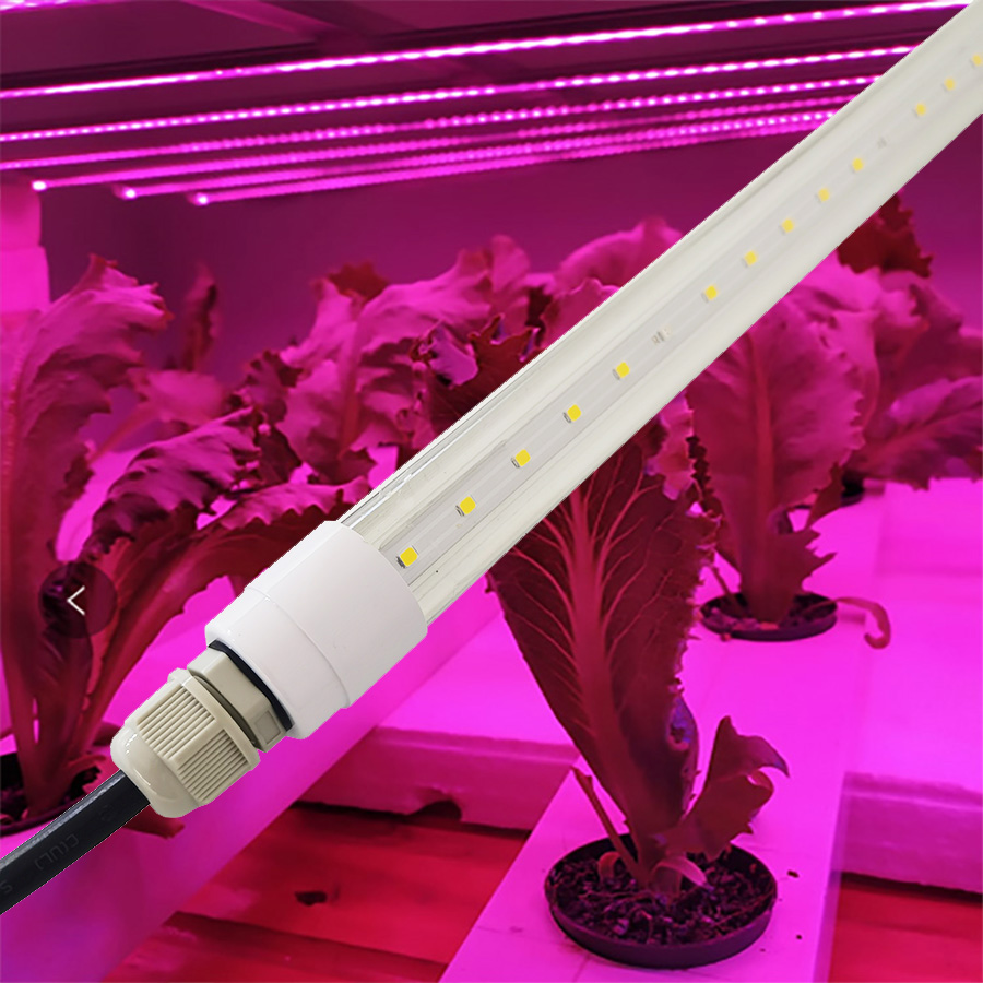 led grow light lamp for radish broccoli and roka microgreens