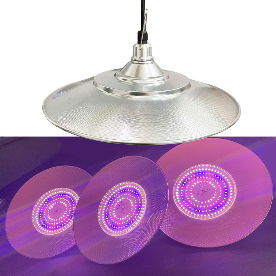 led grow light greenhouse for growing larger frangipani plants
