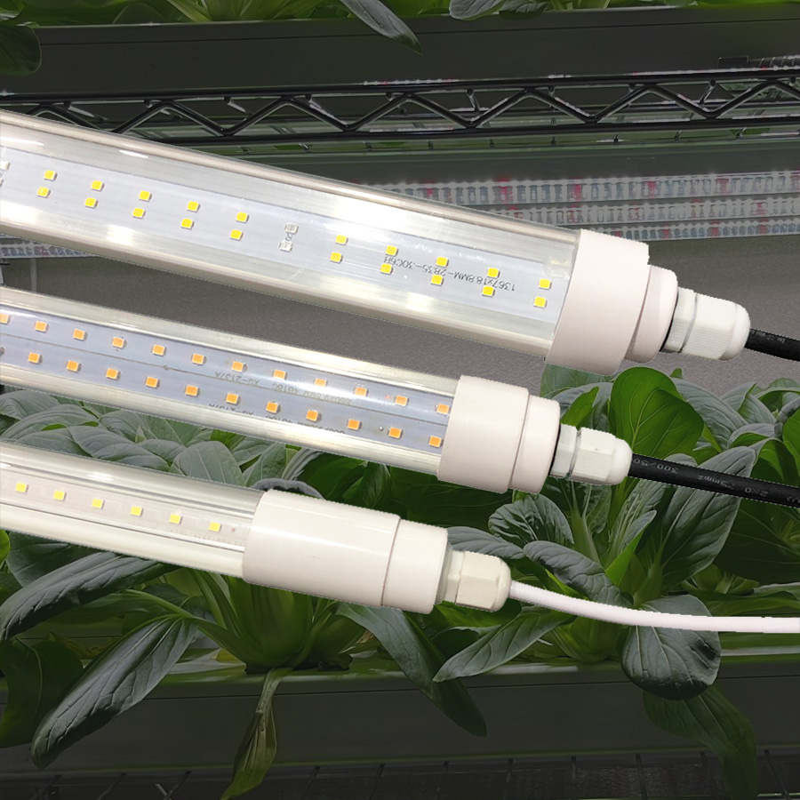 China guangzhou factory vertical farm led grow light iso certified
