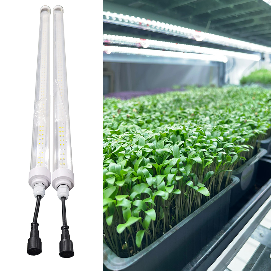 led light for agriculture growth led lamp