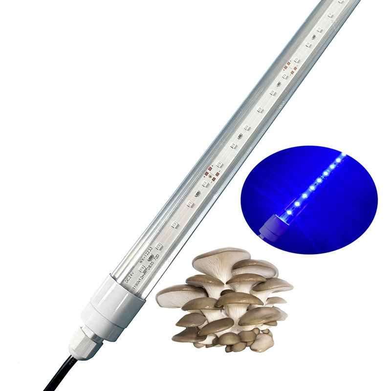 Wholesale Led Plants Mushroom Grow Light for Oyster Mushrooms Growth