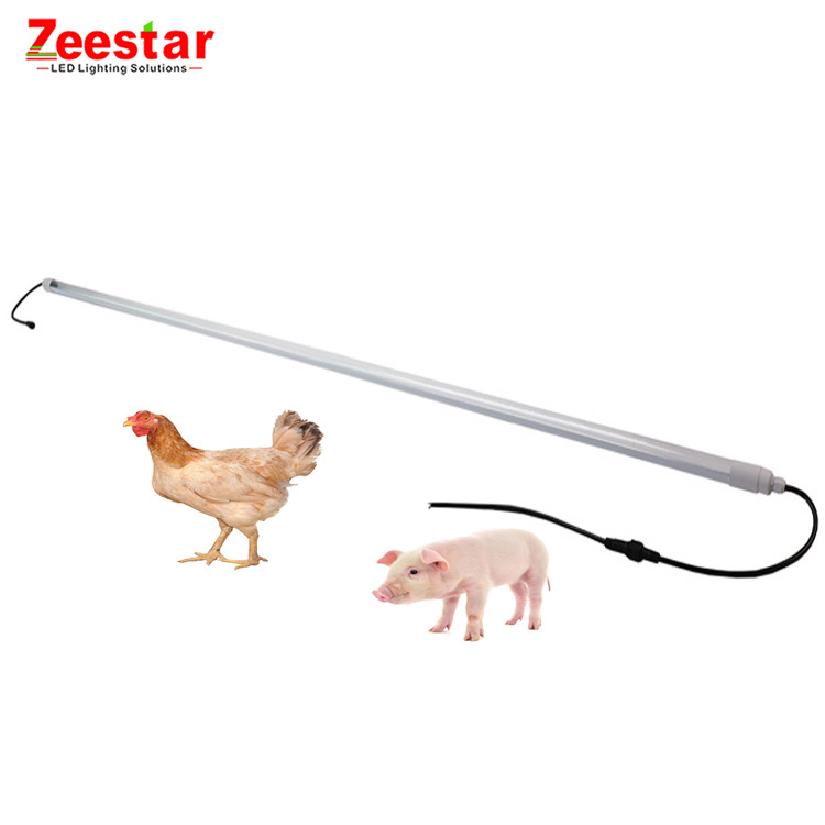 led tube lights lamp for chicken coop chicken farming