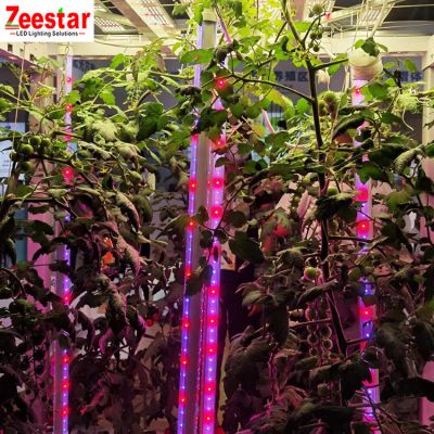 2FT 360 Degree full spectrum vertical farm Hydroponic clone plants LED grow Tube light
