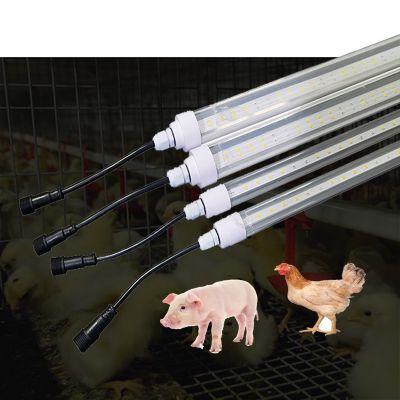 LED Poultry Light