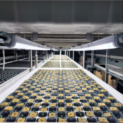 Waterproof led grow tube