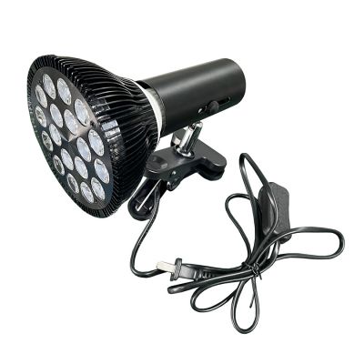 Red Light Therapy Lamp